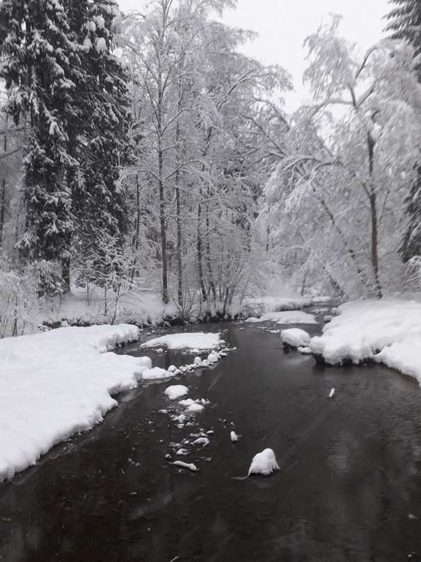 Наталья Лазарева | Москва