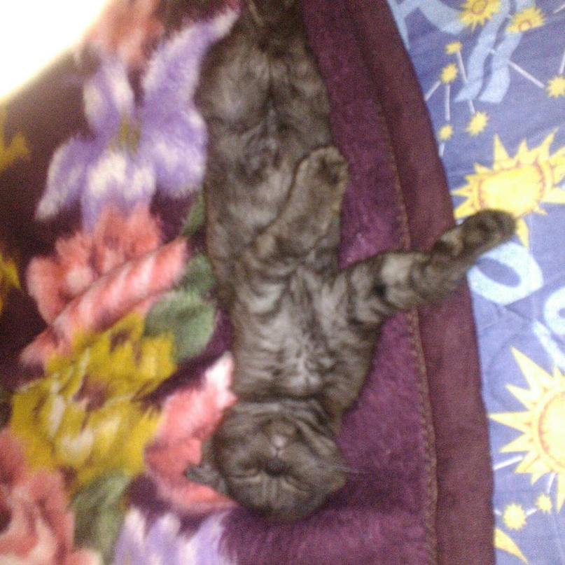 Павел Устинов | Москва