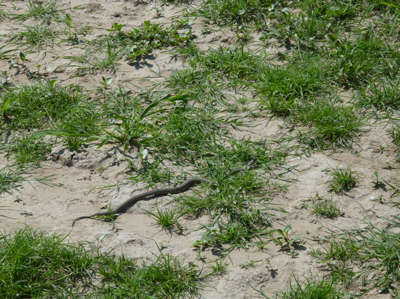 Константин Фадеев KAST | Орехово-Зуево