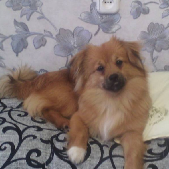 Надежда Шибаева | Балаково