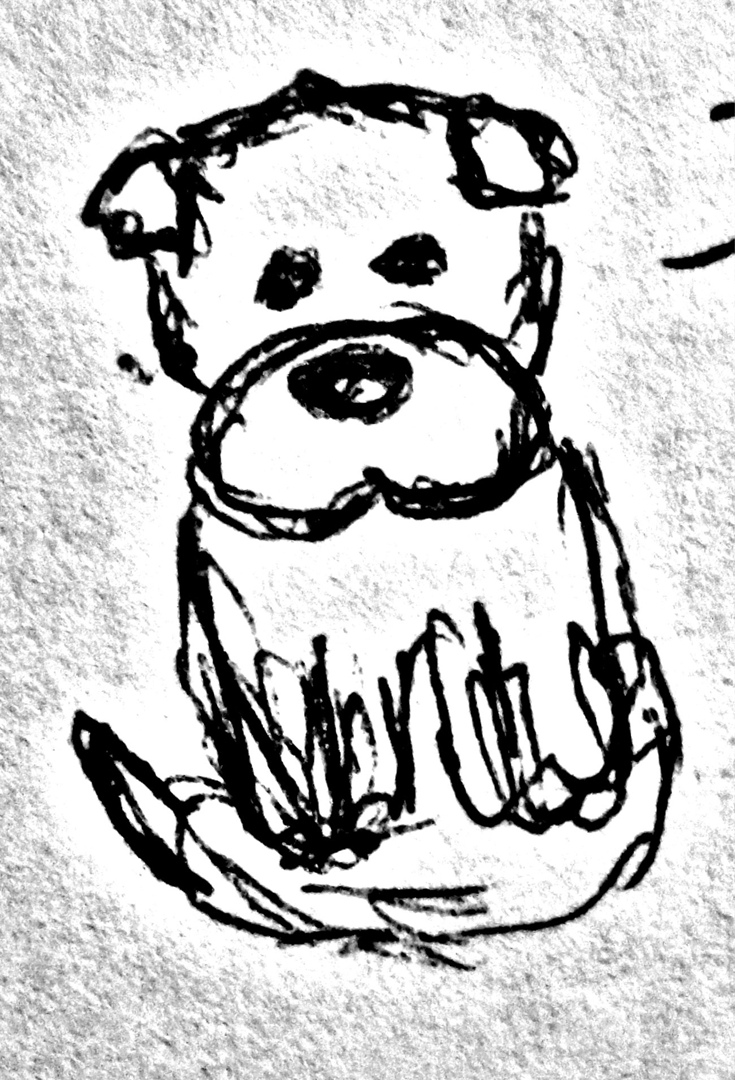 Женя Стрельников | Санкт-Петербург