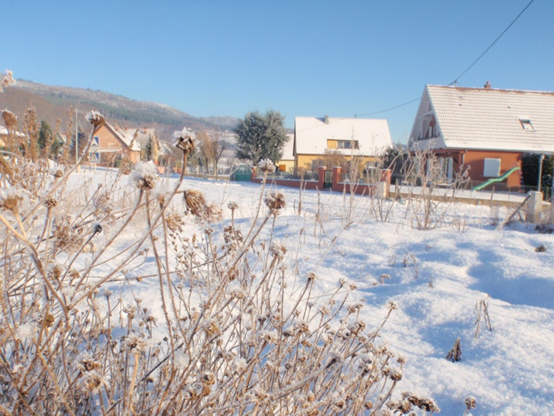 Alina Smirnova | Запорожье