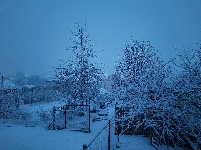 Анна Бочкарева Serqevna |