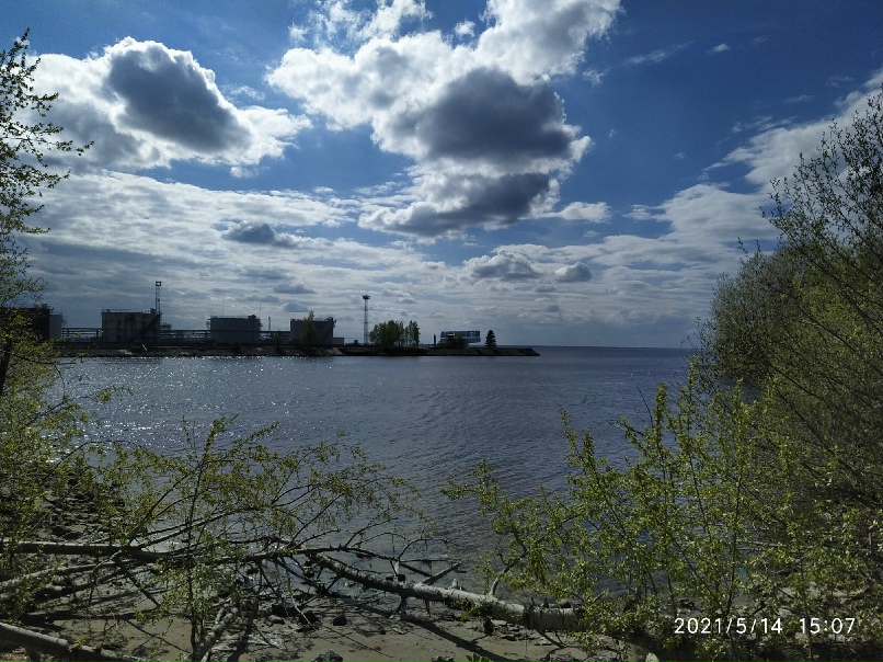 Ольга Арсеньева | Санкт-Петербург
