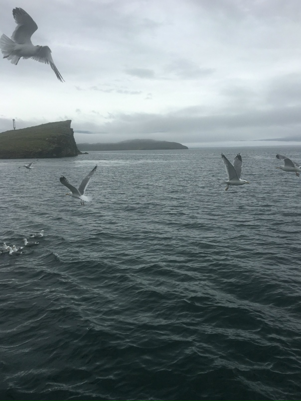 Кристина Борисова | Москва