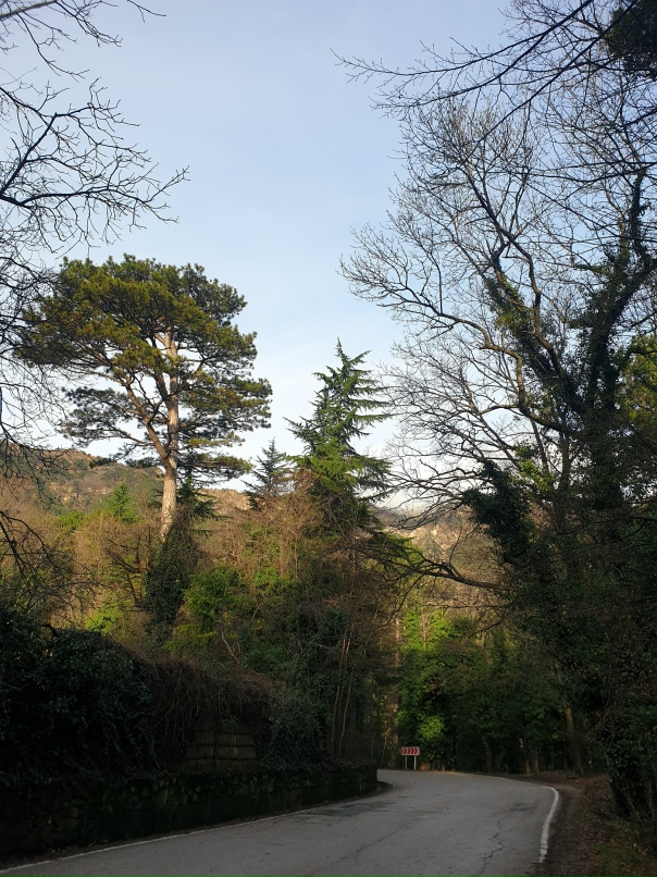 Екатерина Новицкая | Санкт-Петербург