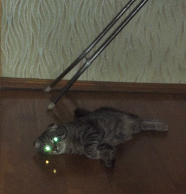 Катерина Кондратьева | Балашиха