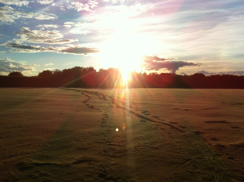 Алексей Краев | Мурманск