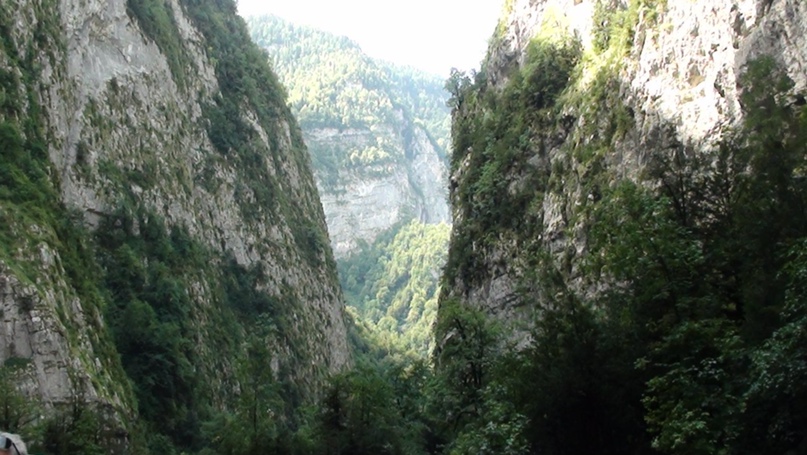 Алёна Ткачёва | Саратов