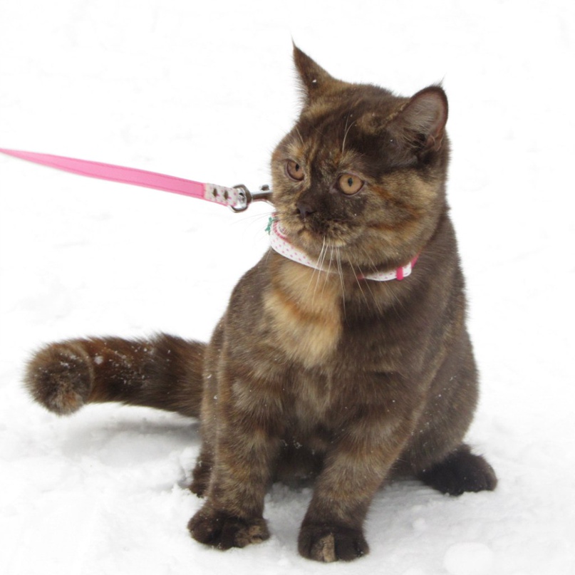 Юлия Деловая | Москва