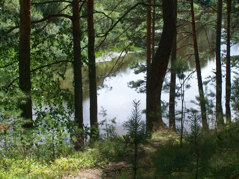 Вера Корнеева | Санкт-Петербург