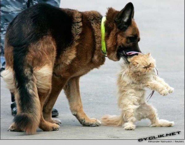 Игорь Евдокименко | Санкт-Петербург