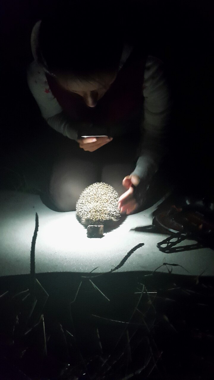 Оксана Жуковская | Санкт-Петербург