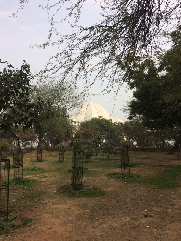 Евгений Жиров | Одесса