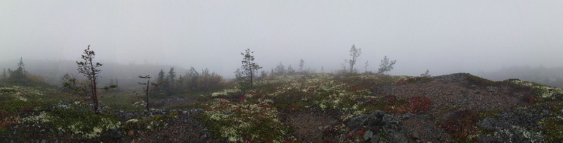 Евгений Хохлов Валерьевич |