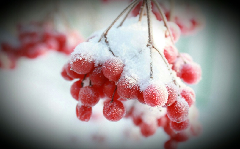 Гузель Мифтахова | Казань