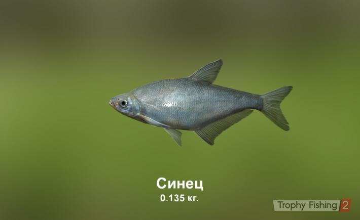 Андрей Ладыгин Сергеевич | Екатеринбург