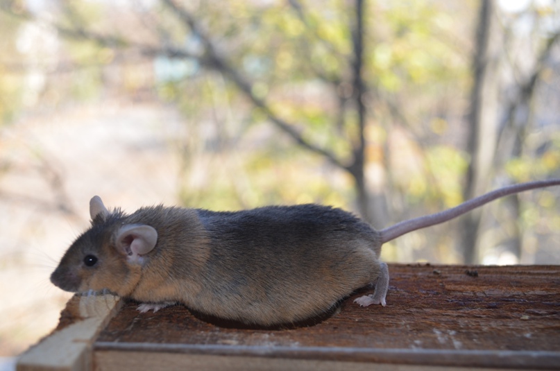 Мария Кулькова | Москва