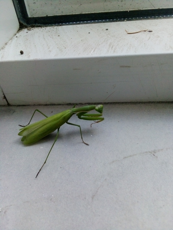 Михаил Андреев | Москва