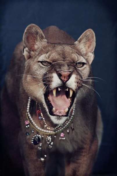 Танюшка Михайлова | Сургут