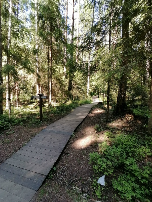 Игорь Ляпин | Санкт-Петербург