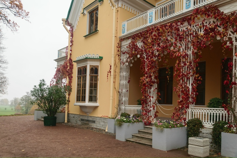 Лилия Кондратьева | Псков