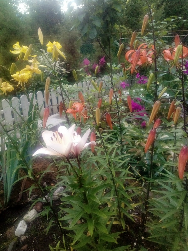 Анна Разумовская | Санкт-Петербург