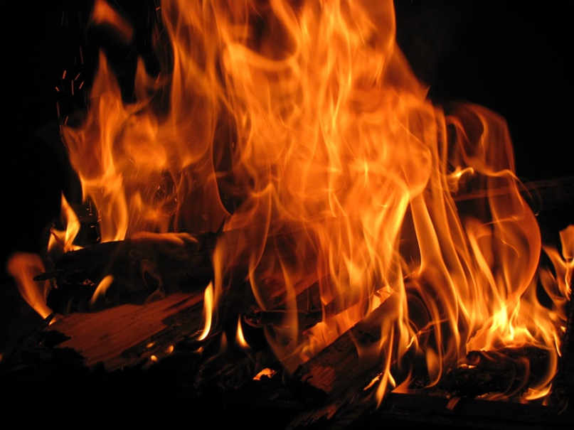 Олег Мартыненко | Санкт-Петербург