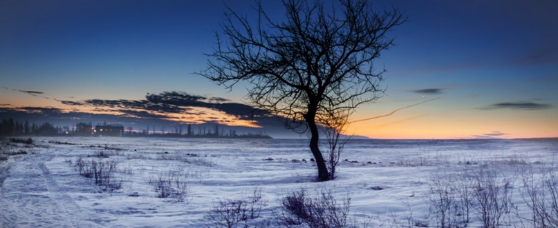 Святослав Шевченко |