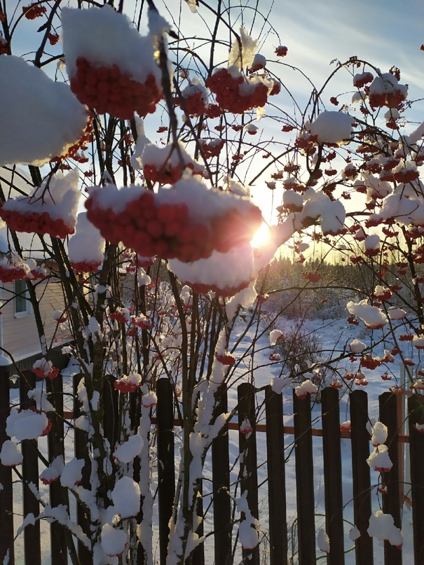 Ольга Сурова |