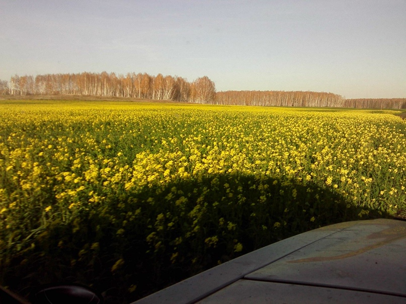 Иван Лукьянов | Челябинск