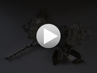 Игорь Серкин | Харьков