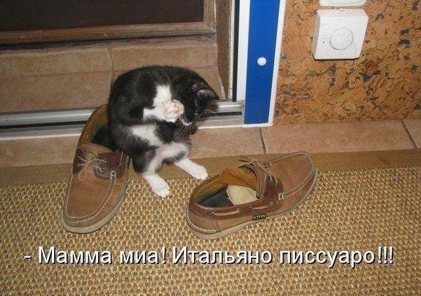 Денис Завьялов | Сумино