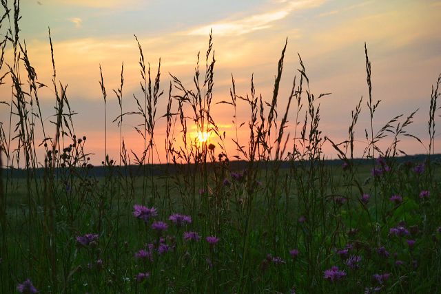 Екатерина Якушина | Москва