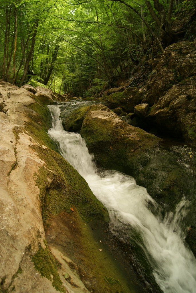 Владимир Дятлов |