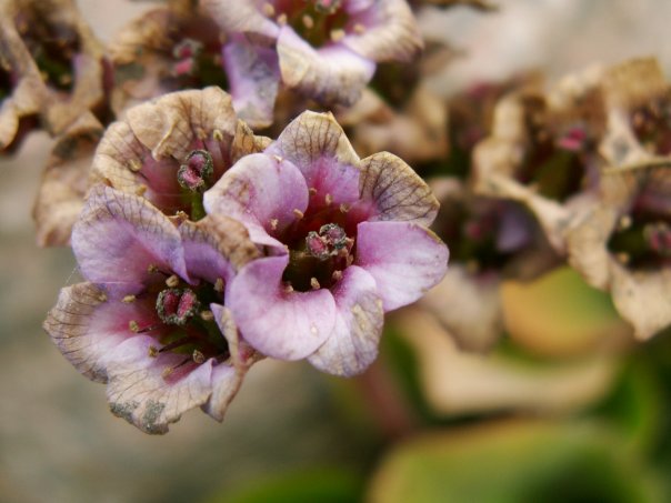 Серёга Ивановский SNIPER | Санкт-Петербург