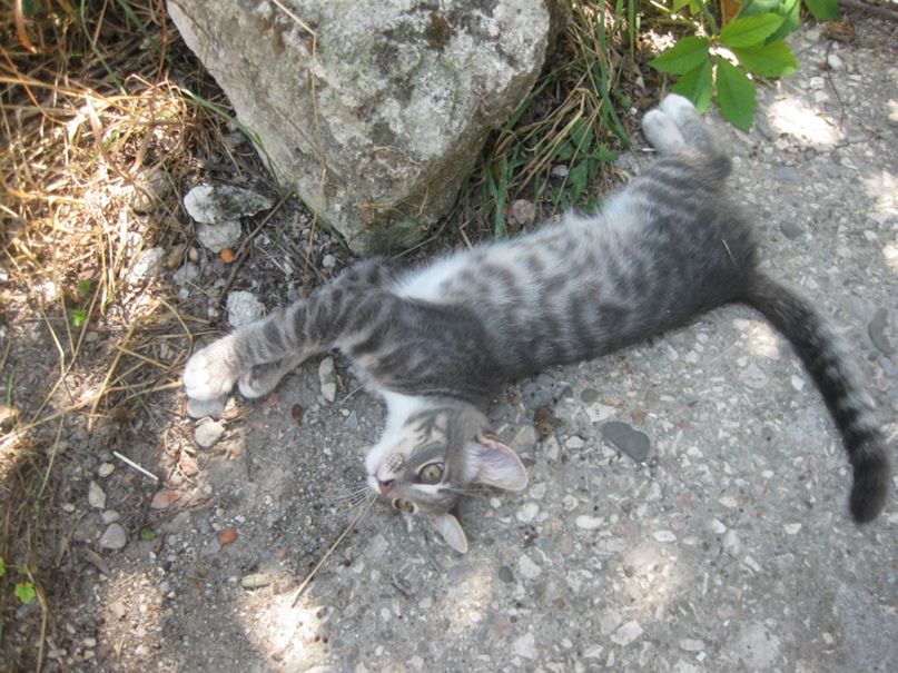 Татьяна Федоренко |