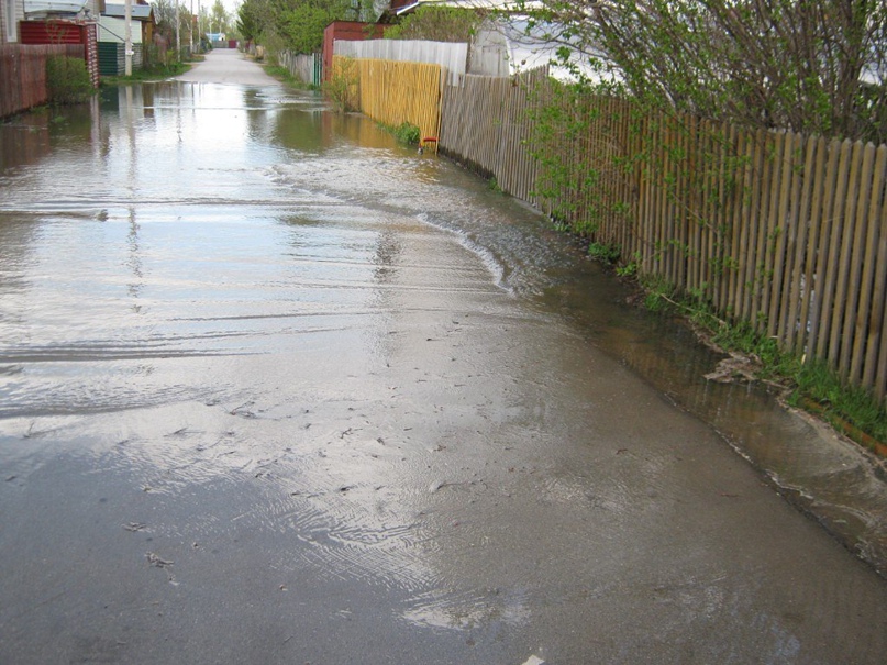 Ольга Федорцова Сергеевна | Новосибирск