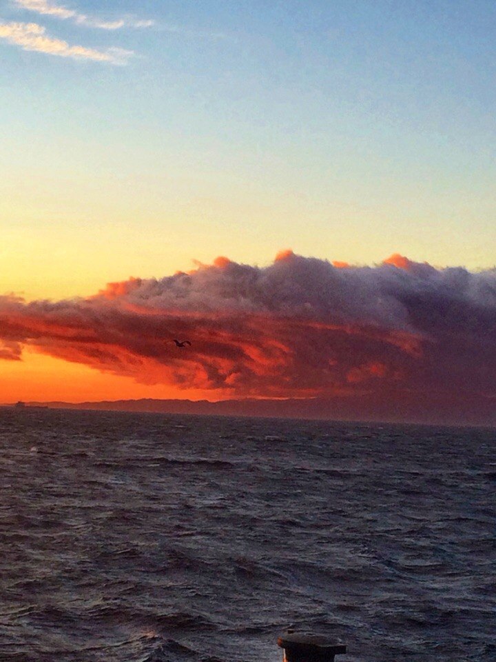 Андрей Шевченко | Одесса