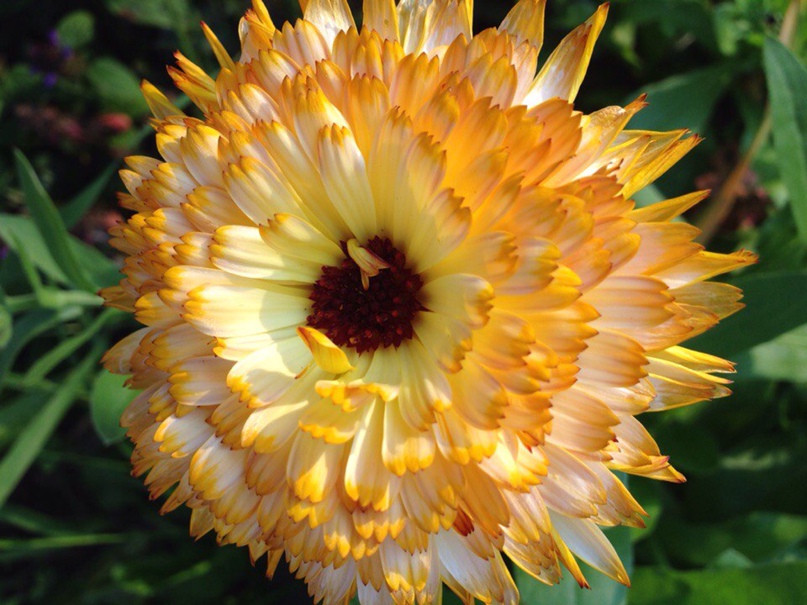 Татьяна Коротина | Санкт-Петербург