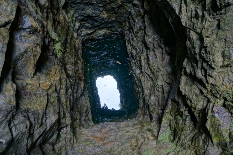 Елена Лосева | Москва