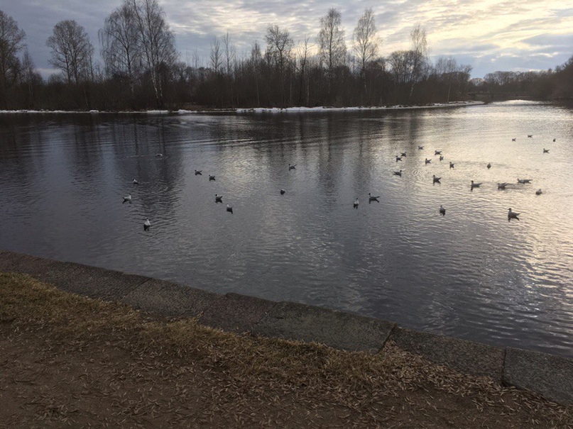 Даниил Сорокин | Москва