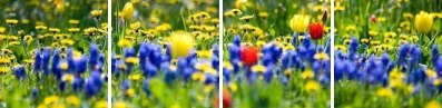 Наталия Корнеева | Киев
