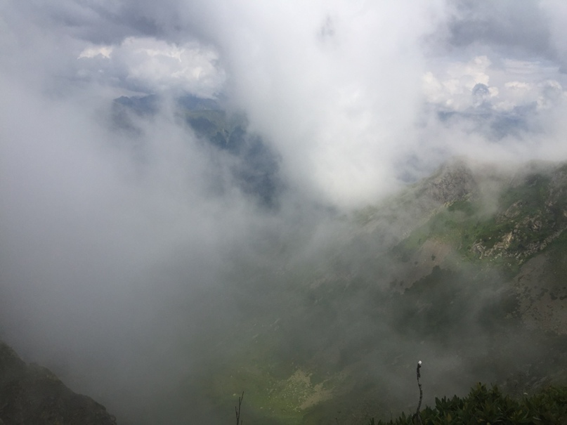 Елена Муратова | Москва