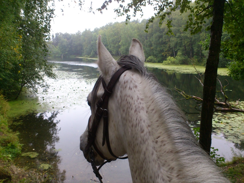 Владимир Дроздов | Москва