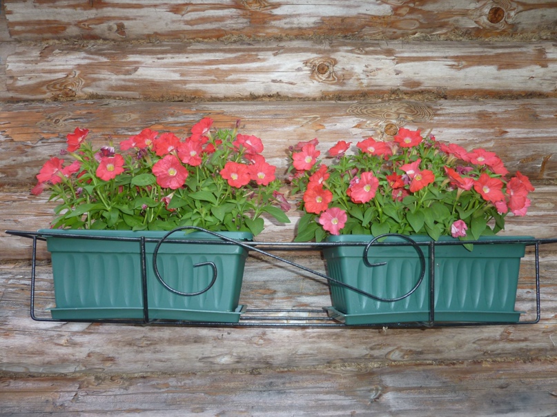 Галина Евдокимова | Сосновый Бор