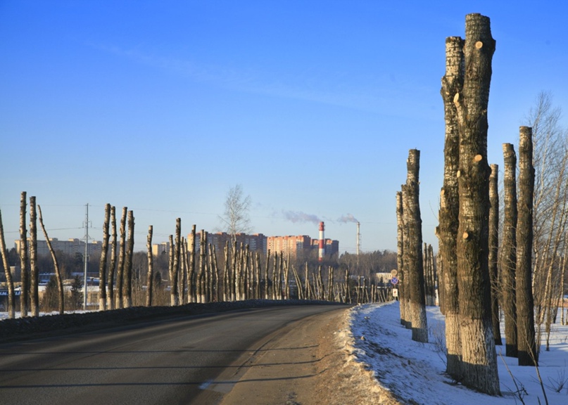 Андрей Мирошниченко | Москва