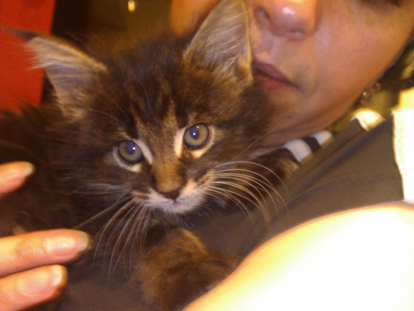 Вадим Самойлов | Мурманск