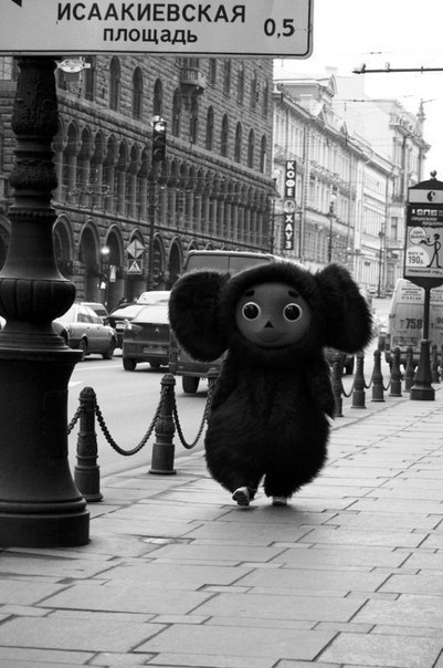 Denis Petrov | Санкт-Петербург