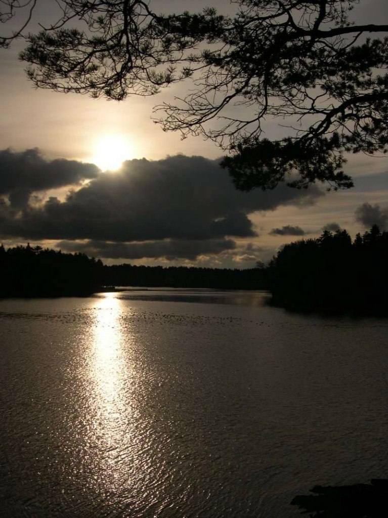 Илья Демиденко | Вырица